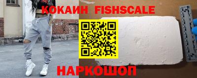 индика Гусев