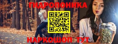 шишки Гусиноозёрск