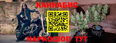 индика Гусев