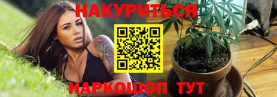 шишки Гусиноозёрск