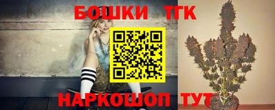 индика Гусев