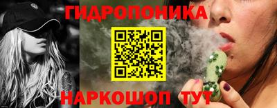 шишки Гусиноозёрск