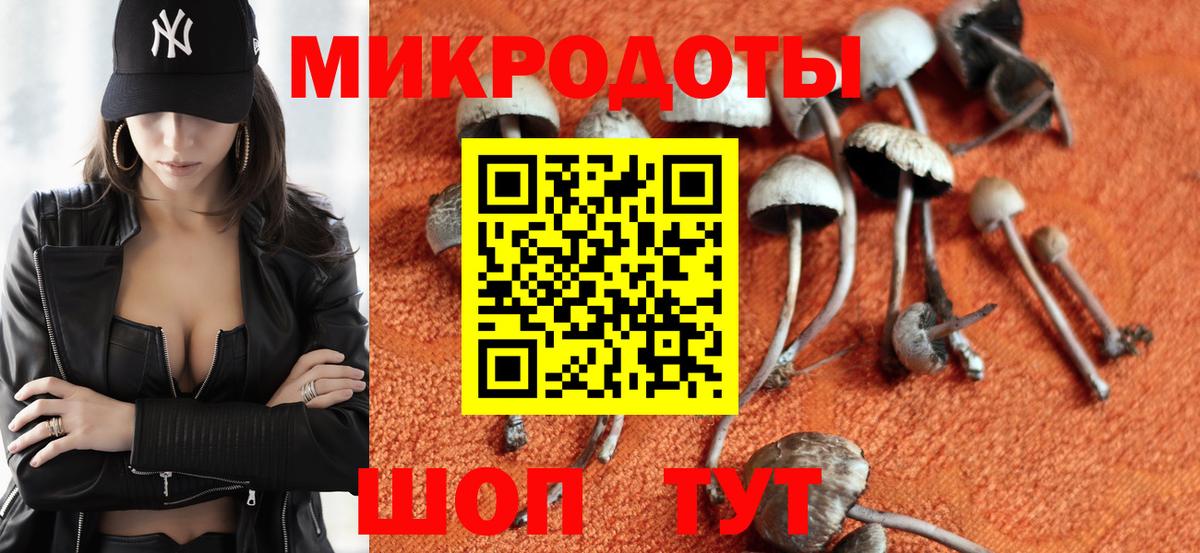 Псилоцибиновые грибы мухоморы  Галлюциногенные грибы MAGIC MUSHROOMS  Мурманск  Вход с VPN 